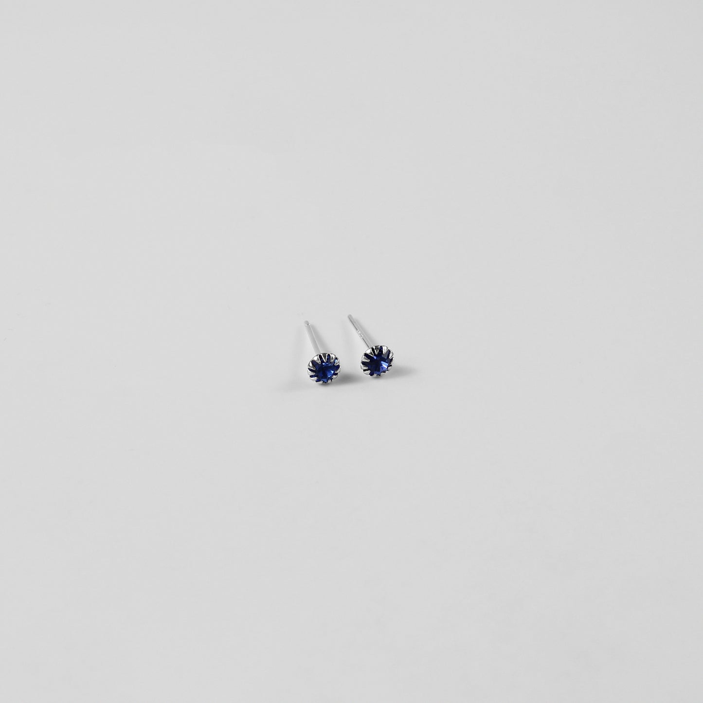 Nautilus Navy Ear Studs