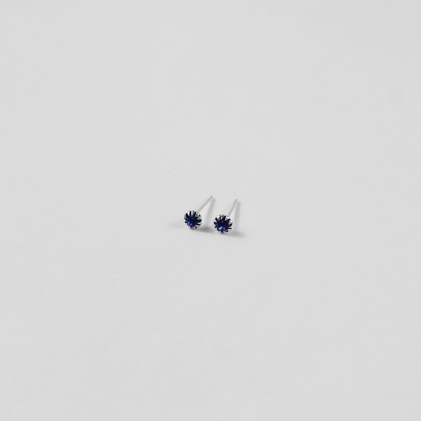 Nautilus Navy Ear Studs