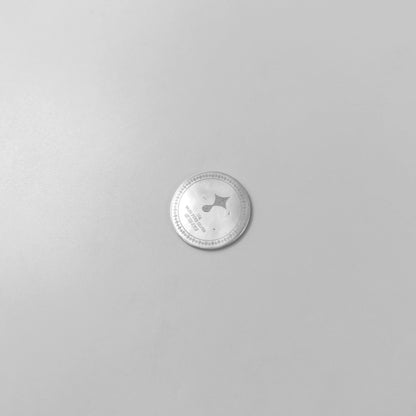 Silver Coin