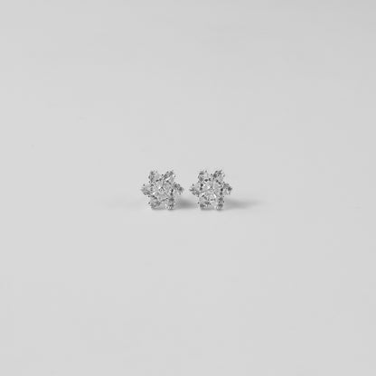 Starflower Gleam Ear Studs