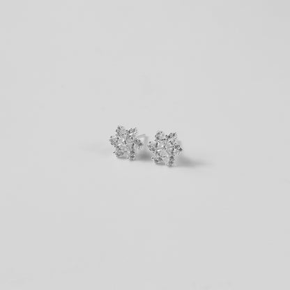 Starflower Gleam Ear Studs