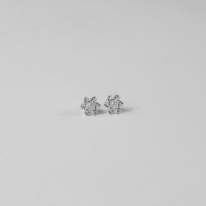 Starflower Gleam Ear Studs