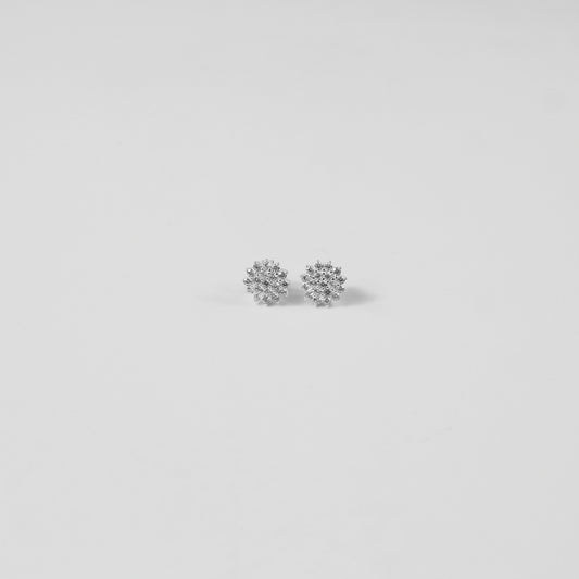 FrostFlake Cluster Ear Studs