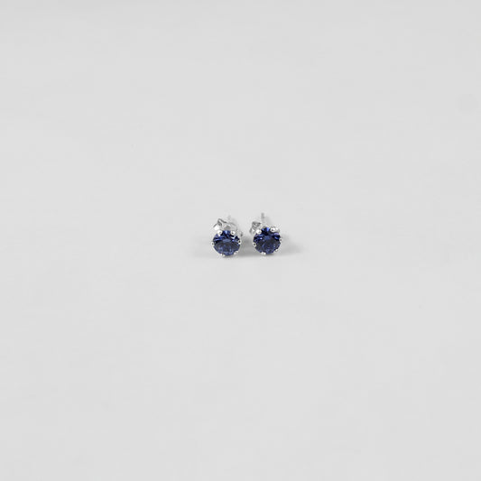 Oceanic Embrace Ear Studs