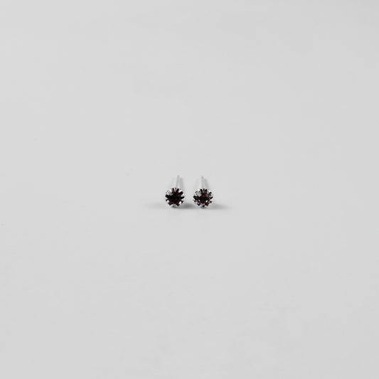 Astra Gleam Ear Studs