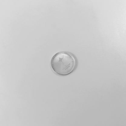 Silver Coin