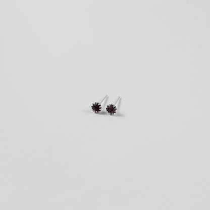 Astra Gleam Ear Studs