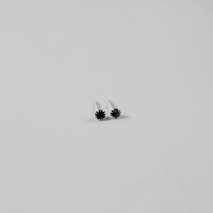 Astra Gleam Ear Studs
