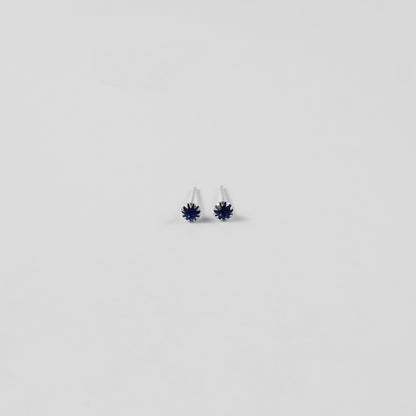 Nautilus Navy Ear Studs