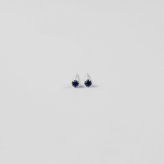 Nautilus Navy Ear Studs