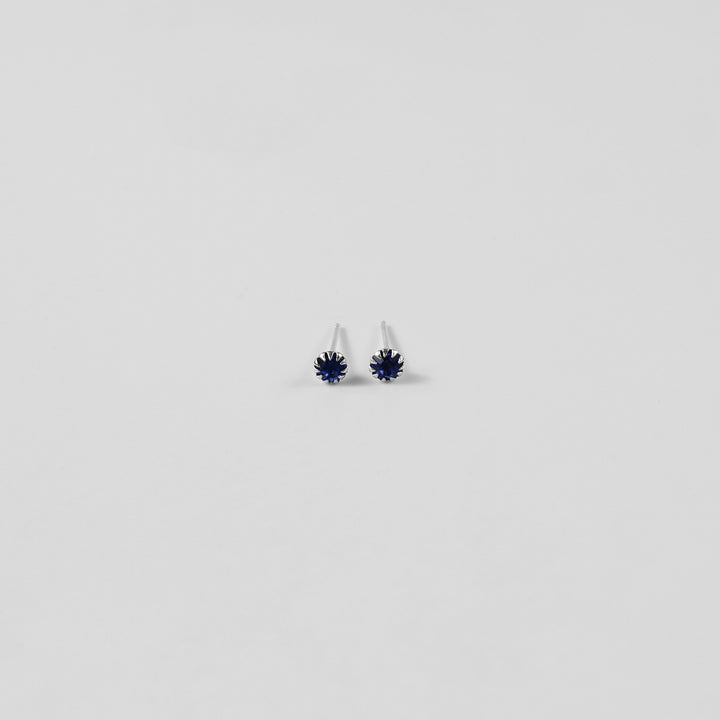 Nautilus Navy Ear Studs