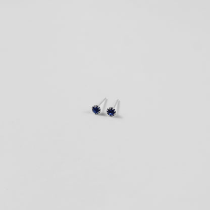Nautilus Navy Ear Studs