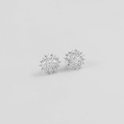 Frosted Petal Studs