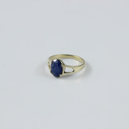 Portal Blue Ring