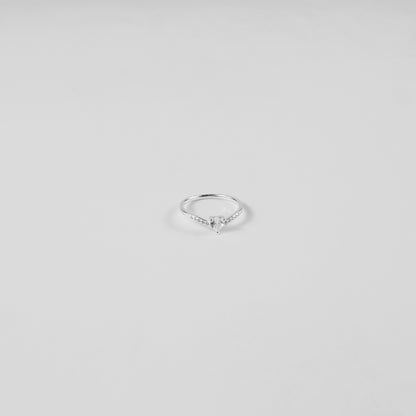 Equinox Ring