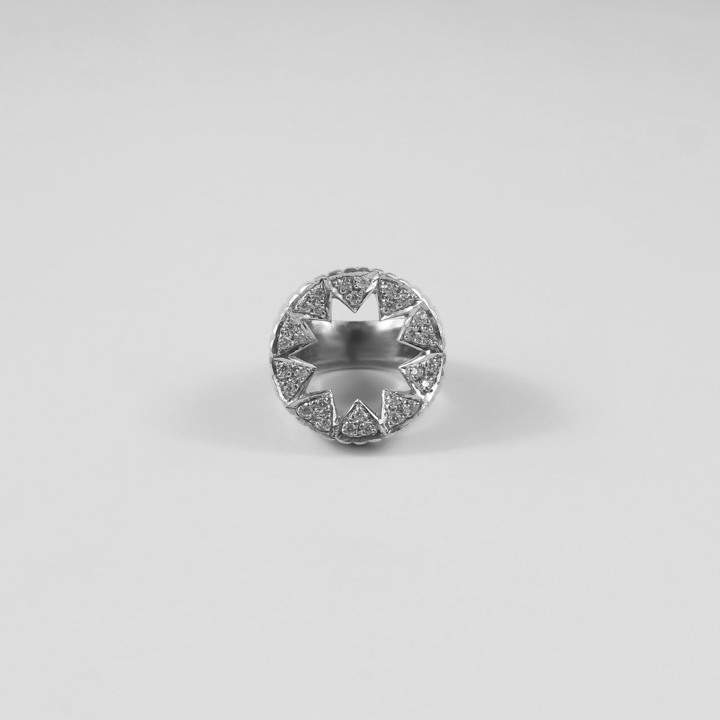 Stacked Meridian Ring